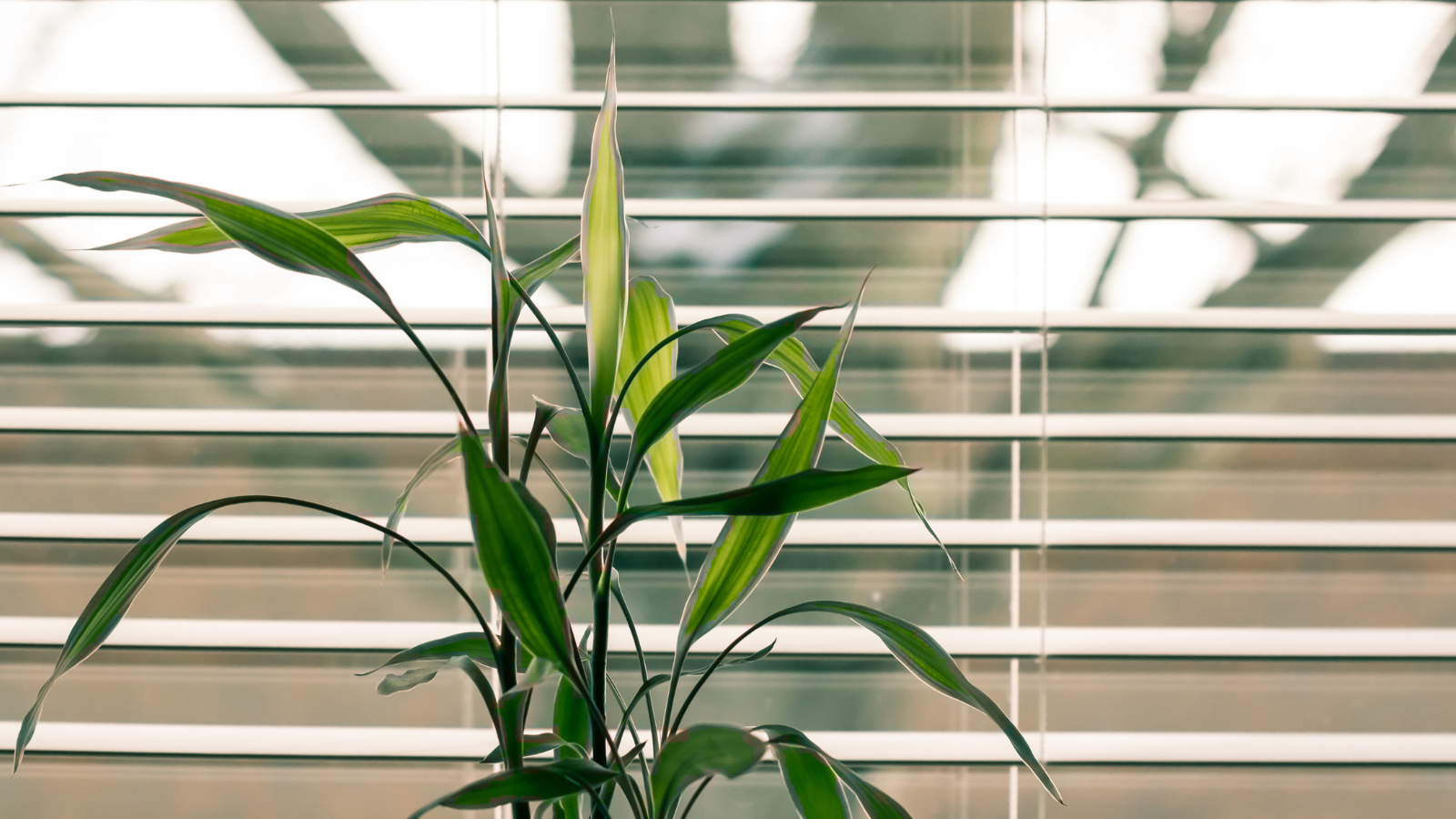 Persianas Sob Medida: Vantagens para Conforto e Estilo